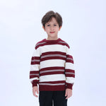 Maroon Casual Striped Sweater for Boys Image