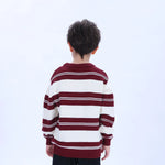 Casual Striped Sweater for Boys Image
