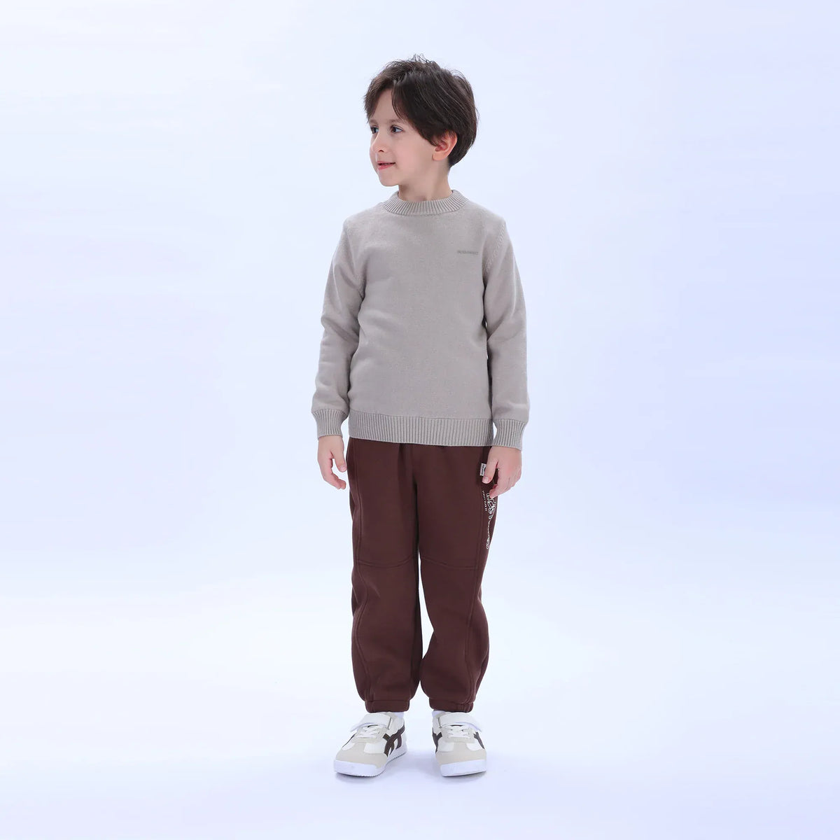 Khaki Casual Printed Sweater for Boys Image