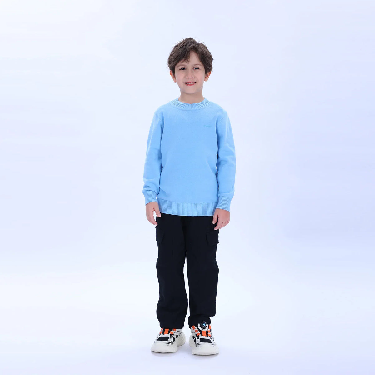 Light Blue Casual Printed Sweater for Boys Image