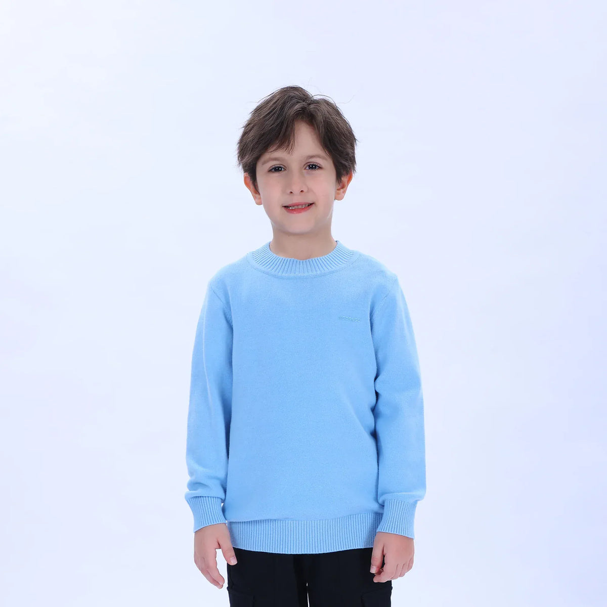 Casual Printed Sweater for Boys Image
