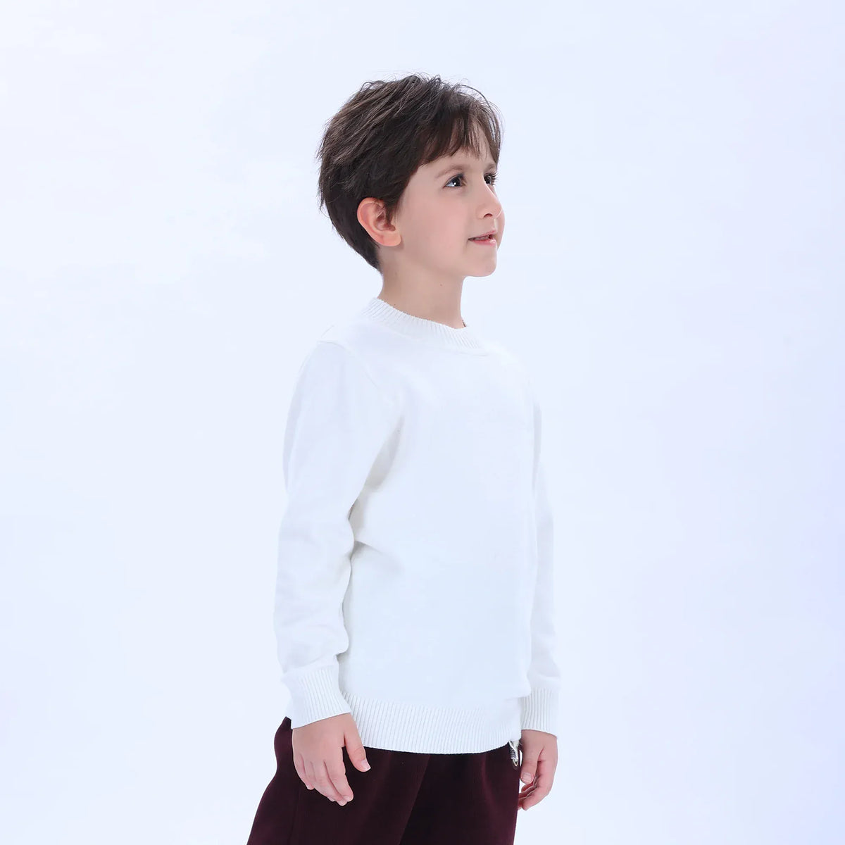 Casual Printed Sweater for Boys Image