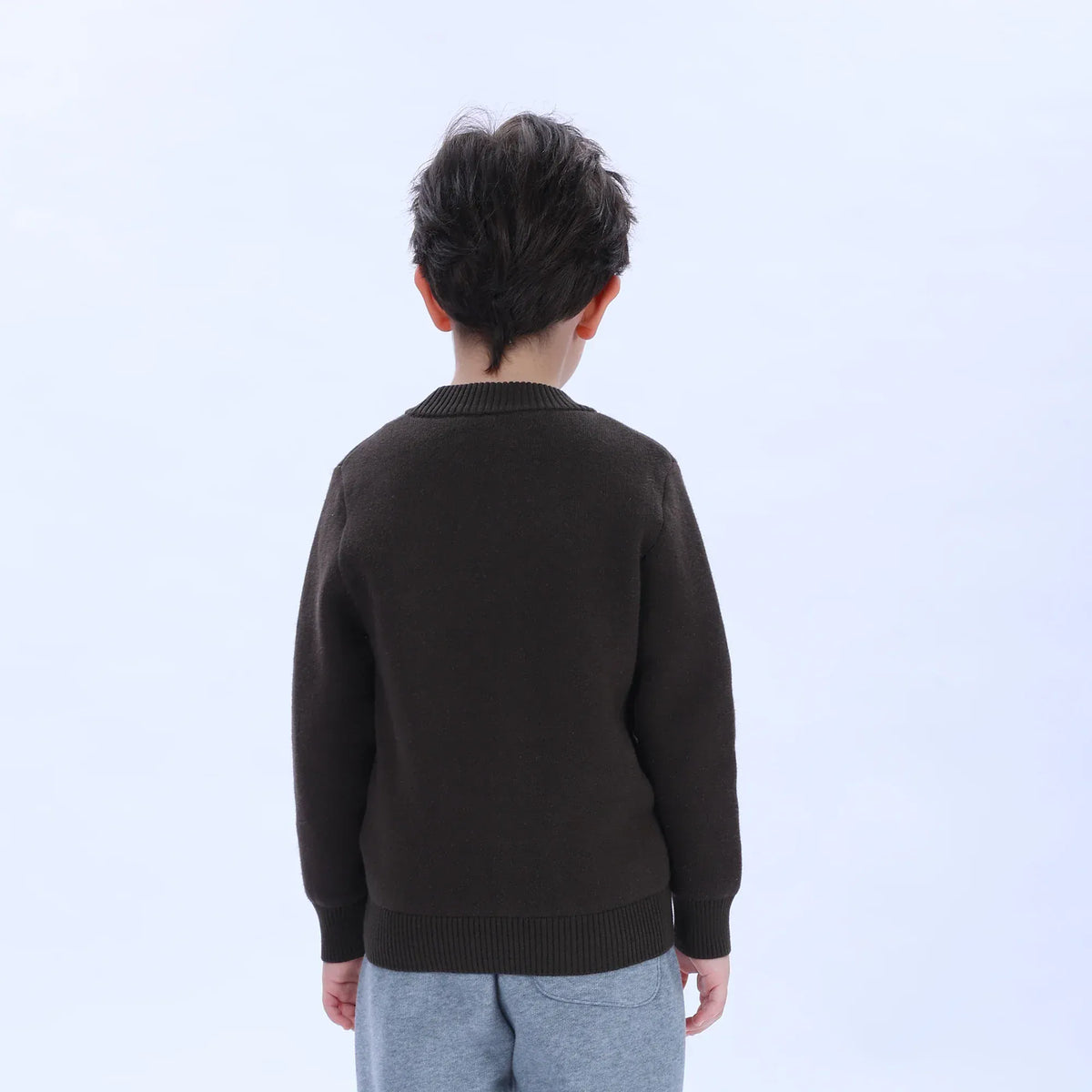 Casual Printed Sweater for Boys Image