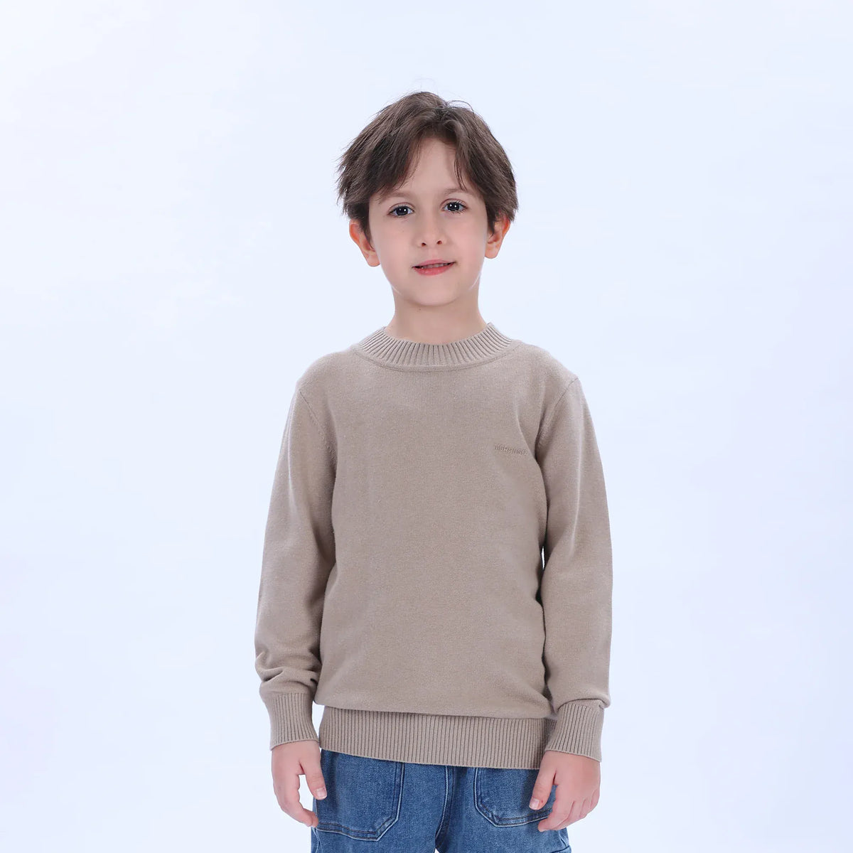 Casual Printed Sweater for Boys Image