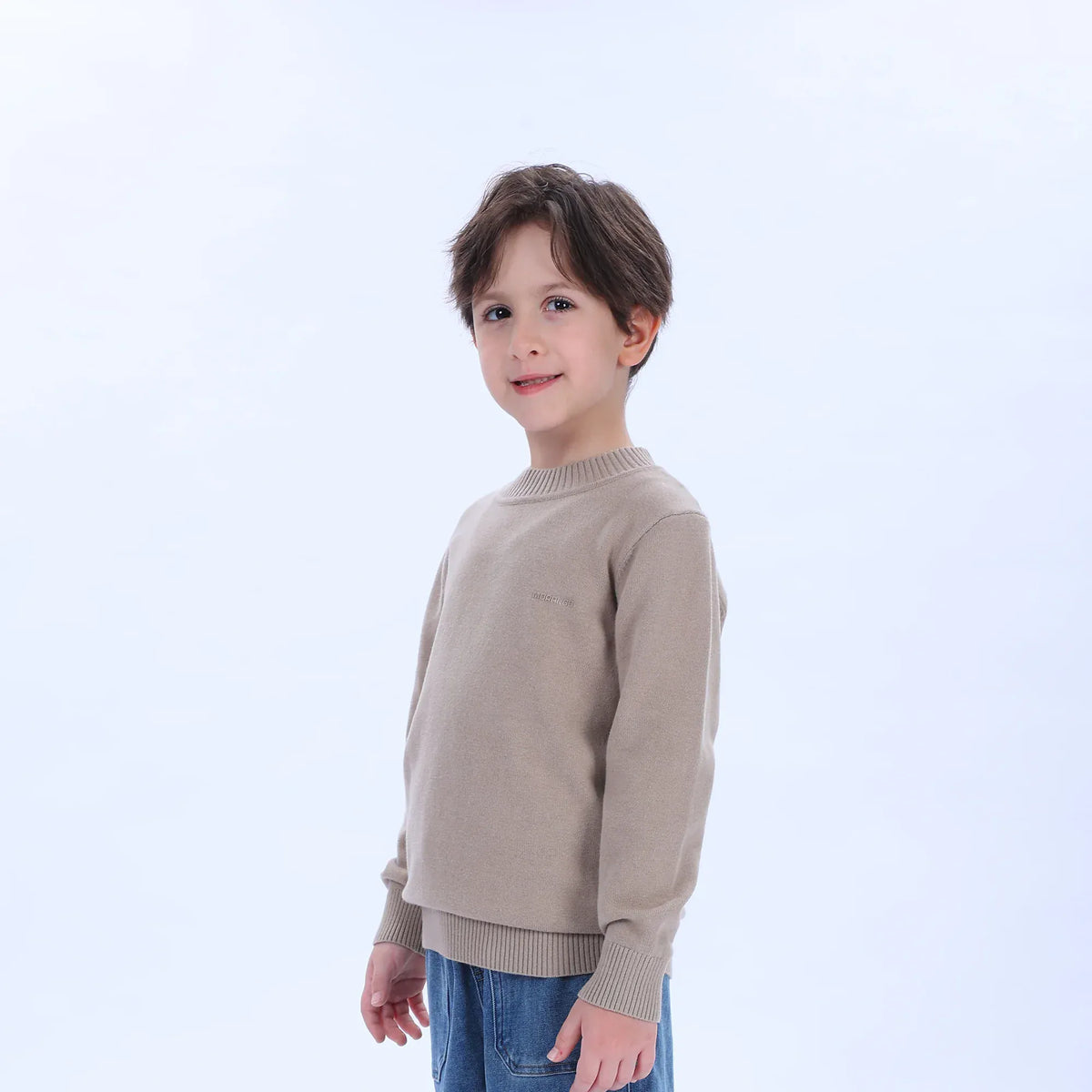 Casual Printed Sweater for Boys Image