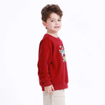 Casual Printed Sweatshirt for Boys Image