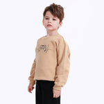 Casual Printed Sweatshirt for Boys Image
