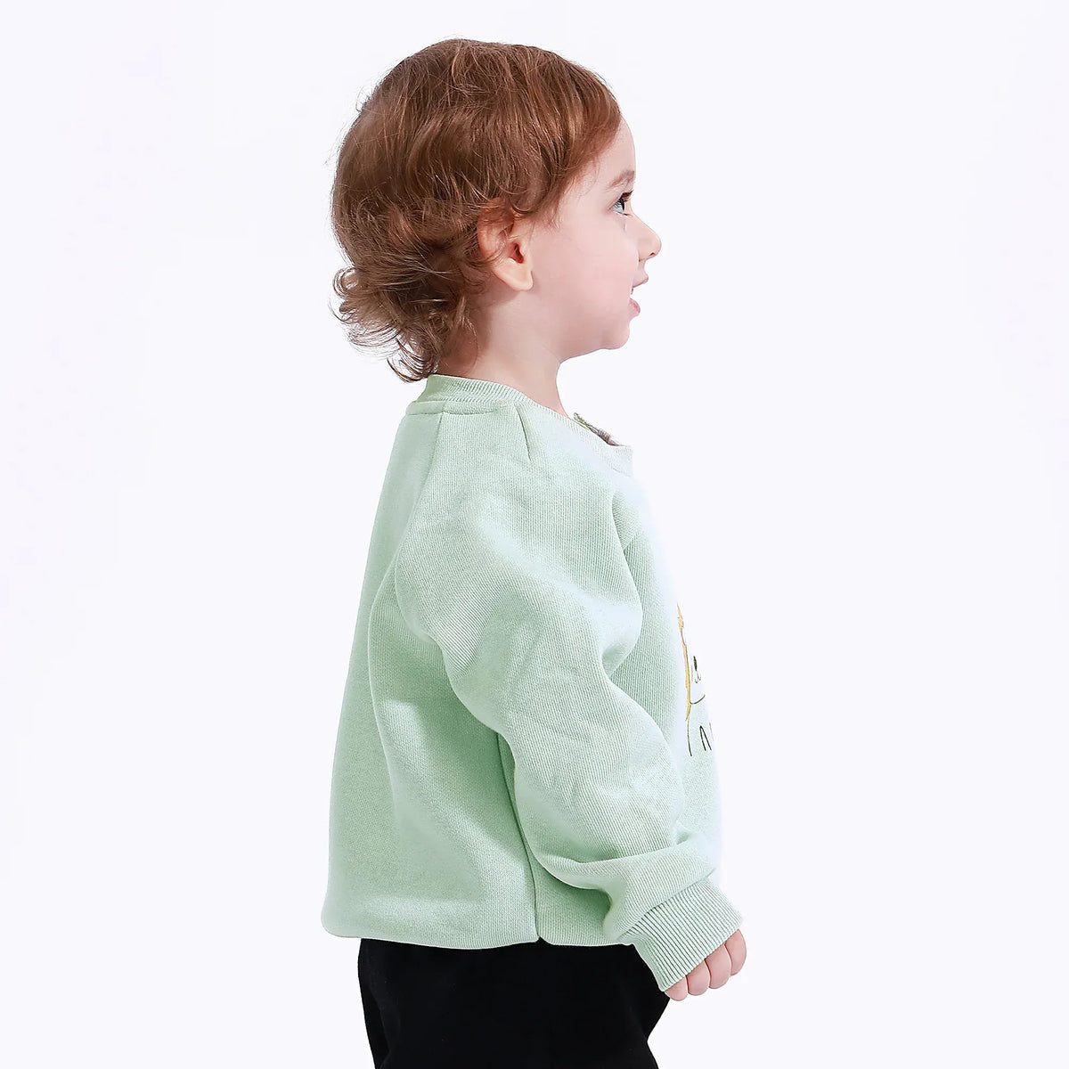 Casual Printed Sweatshirt for Baby boy Image