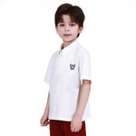Embroidery Polo Shirt for Boys Image