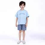 Embroidery Shorts for Boys Image