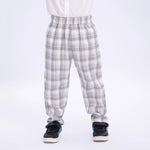 Grey Checked Uniform Pants for Boys Image