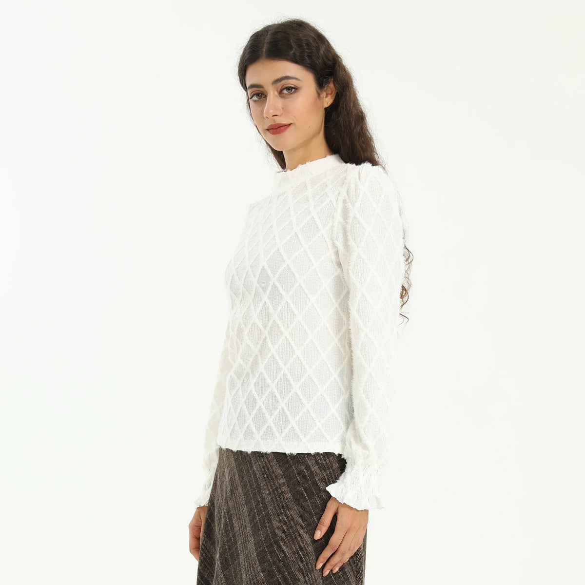 Elegant Checked Blouse for Women Image