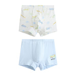Printed Briefs-2Pc For Boys
