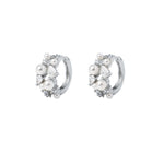 Free Silver Earrings for Women Image