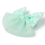 Hair Clips for Girls Image