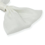 Hair Clips for Girls Image