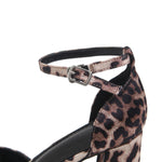 Elegant Heel Shoes for Women Image