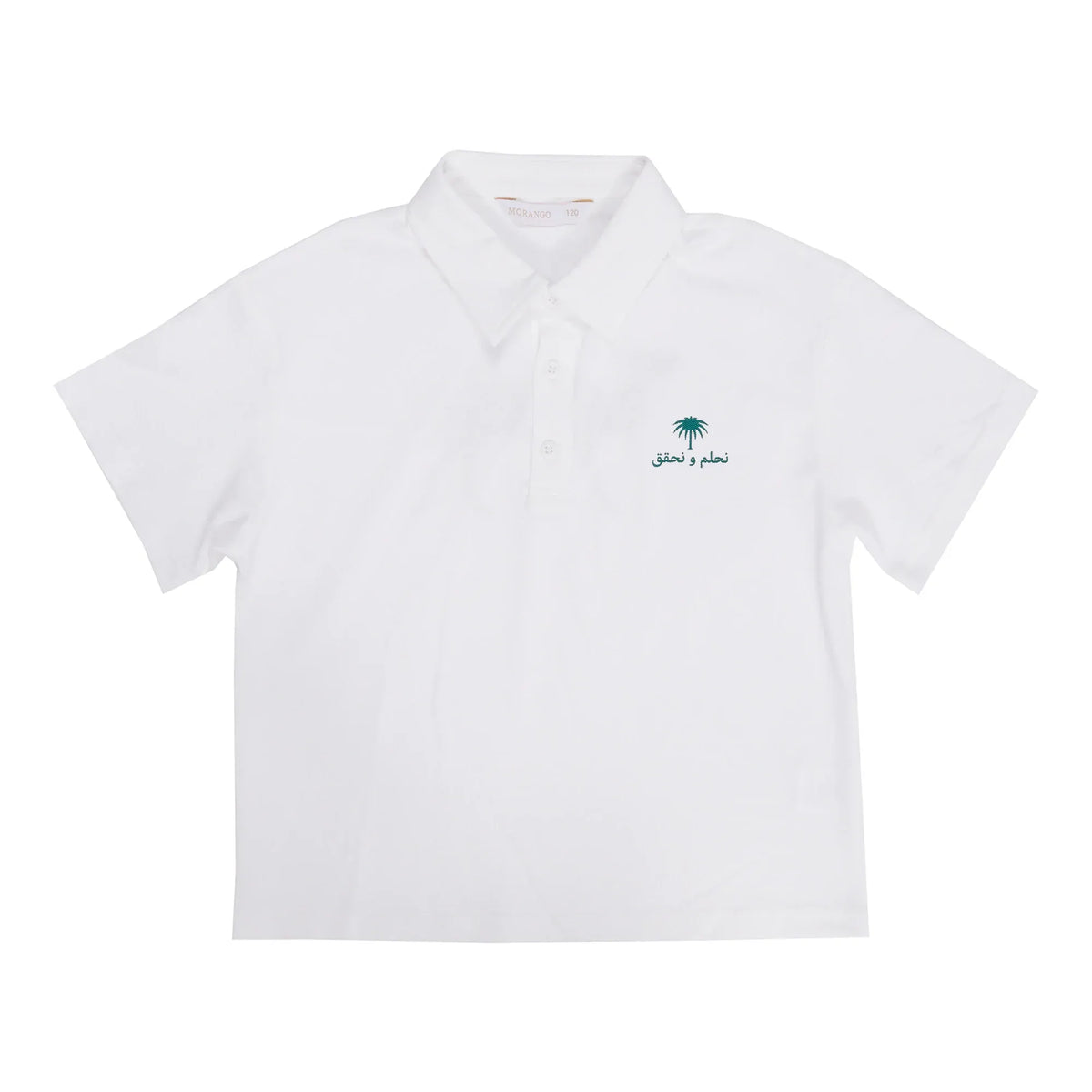 Printed Casual Polo Shirt for Boys Image