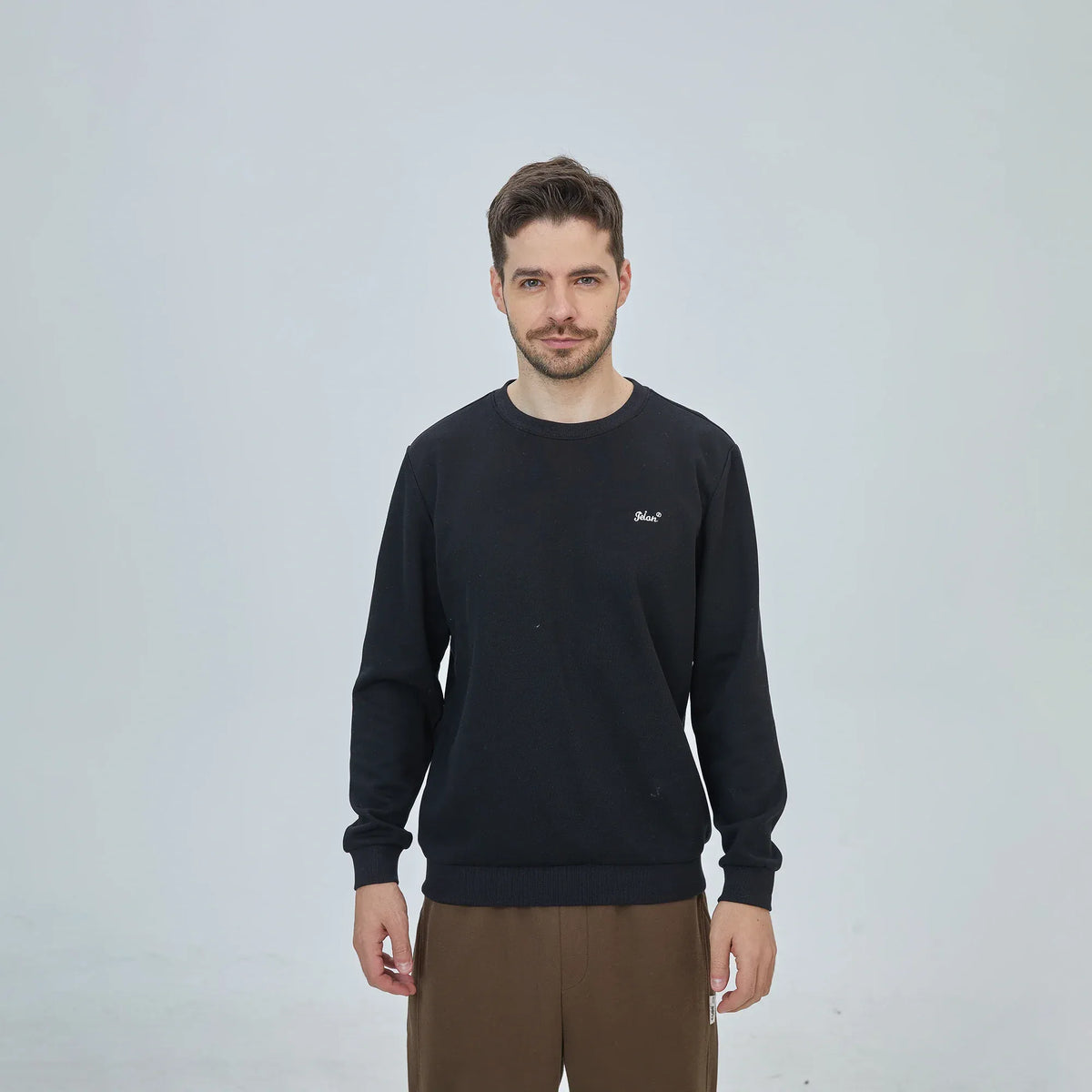 Pullover for Men Image