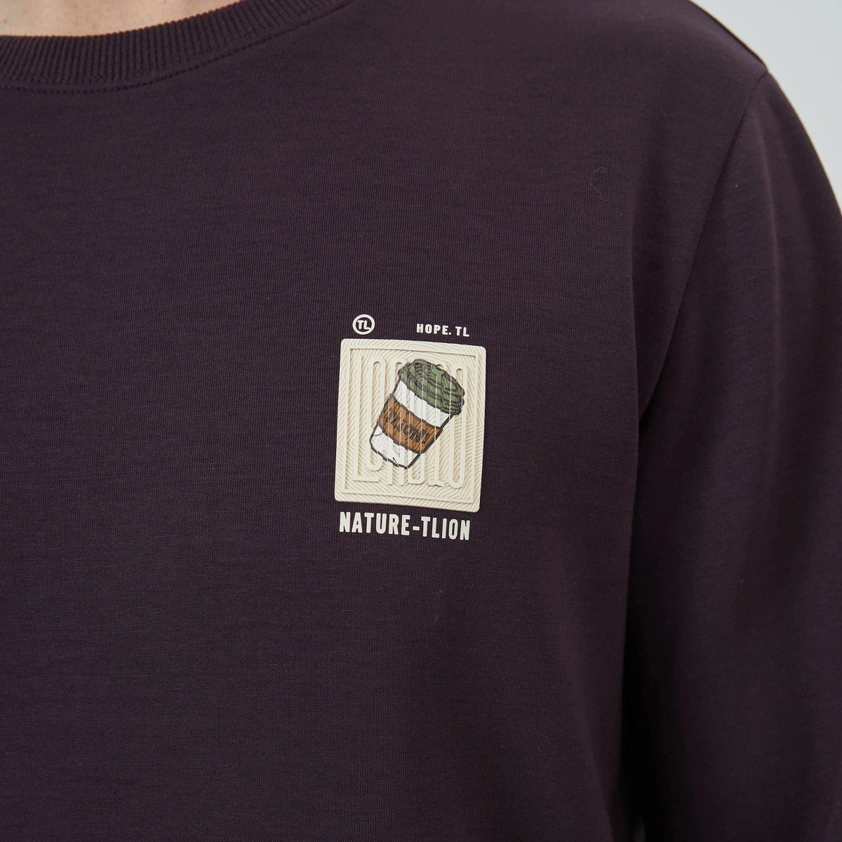 Embroidery Sweatshirt for Men Image