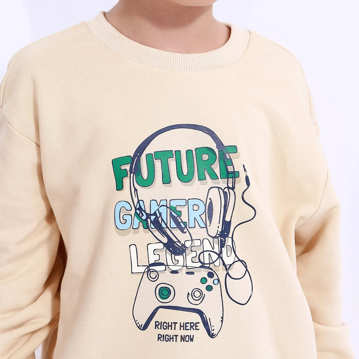 Casual Printed Sweatshirt for Boys Image