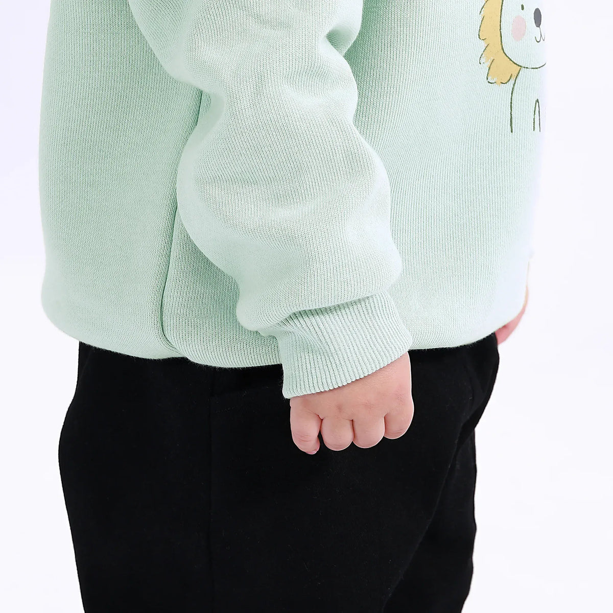 Casual Printed Sweatshirt for Baby boy Image