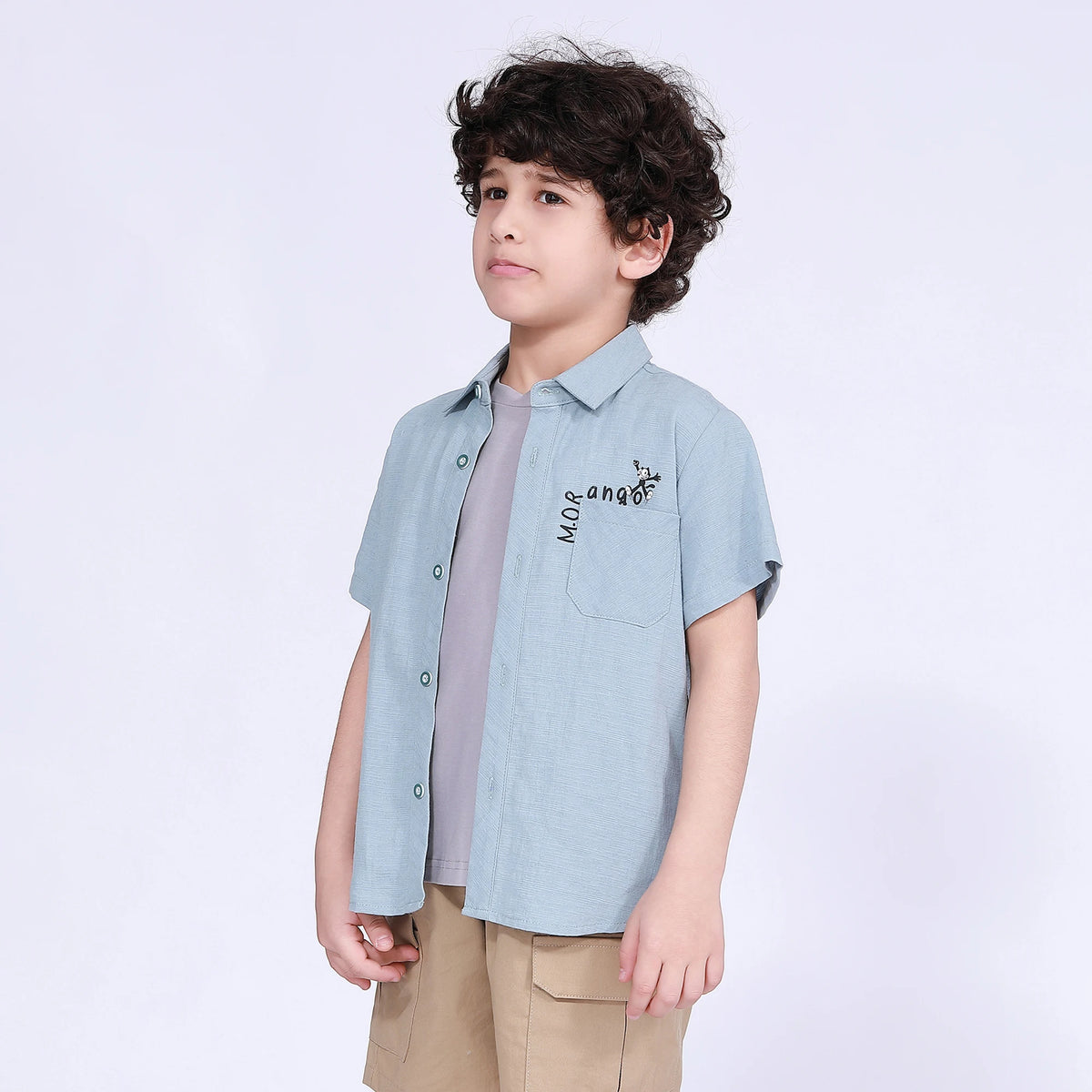 Printed Shirt for Boys Image