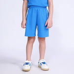 Blue Embroidery Shorts for Boys Image
