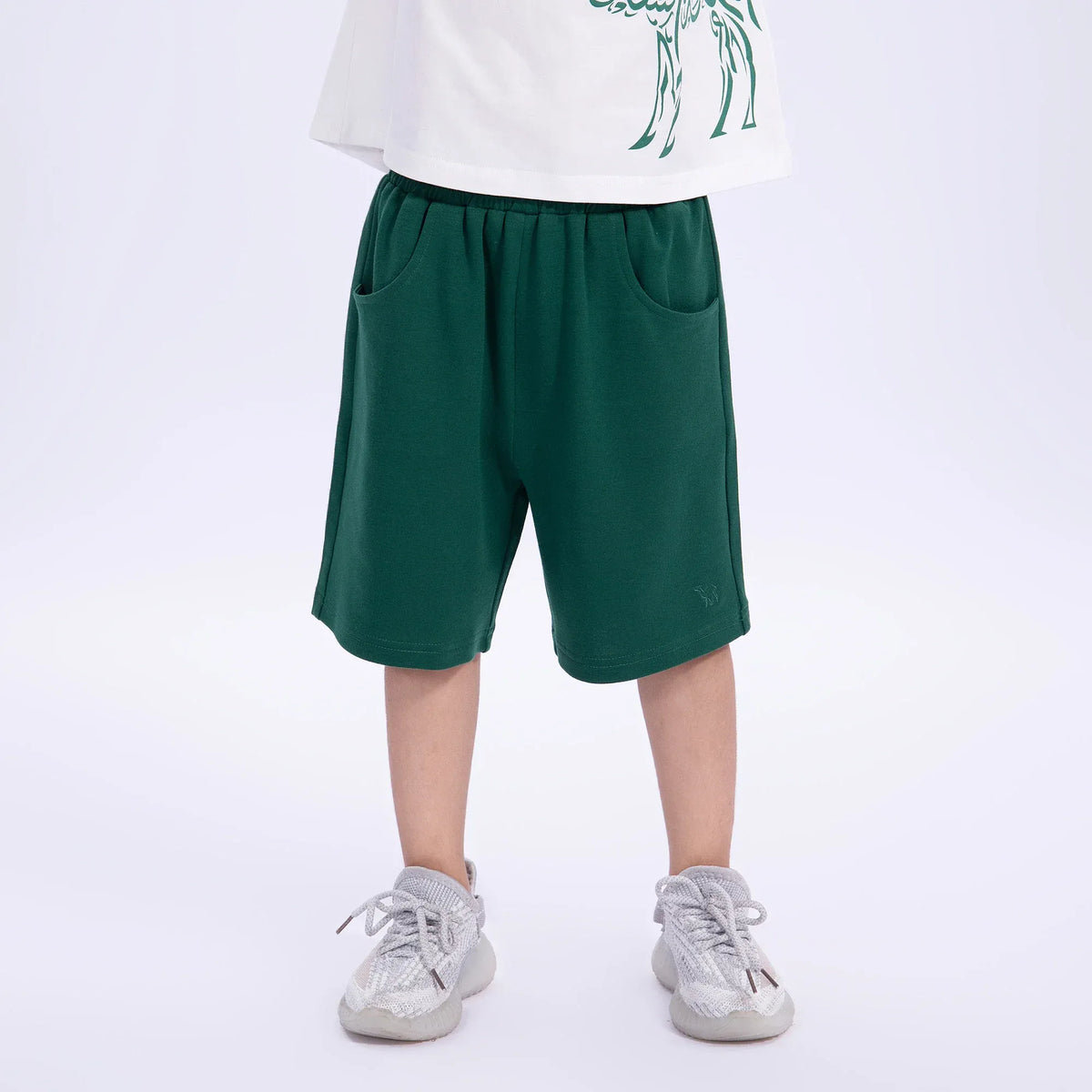Green Embroidery Casual Shorts for Boys Image