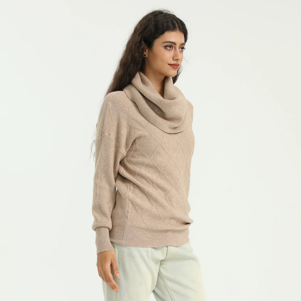 Elegant Solid Sweater for Women Image