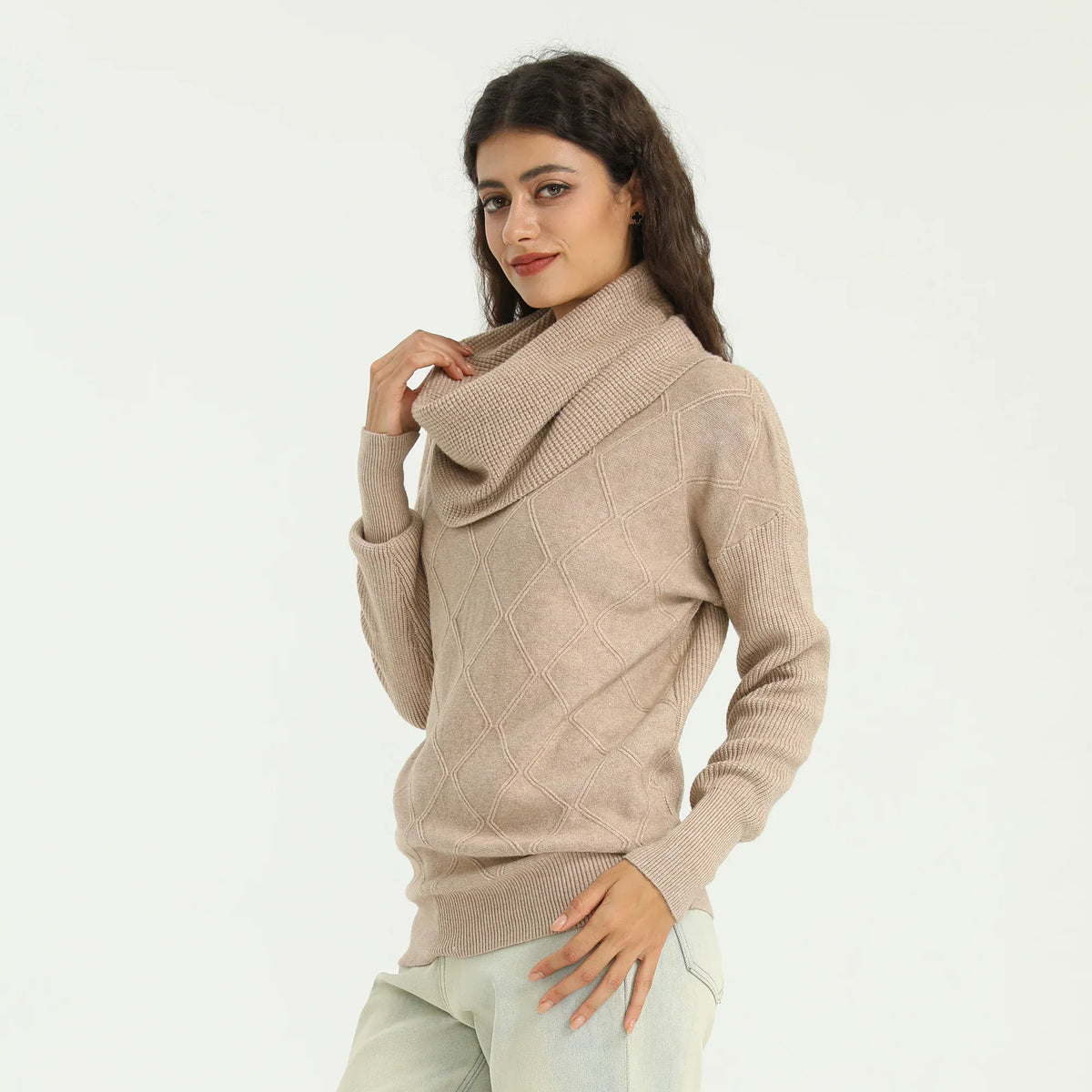 Elegant Solid Sweater for Women Image