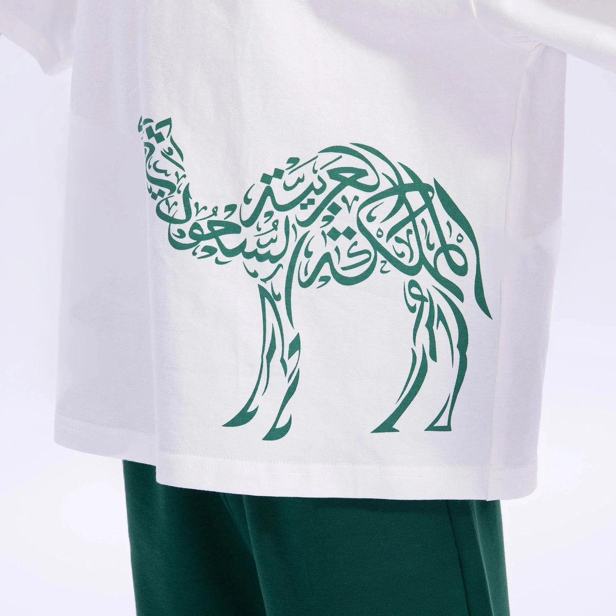 Printed Casual T.Shirt for Boys Image