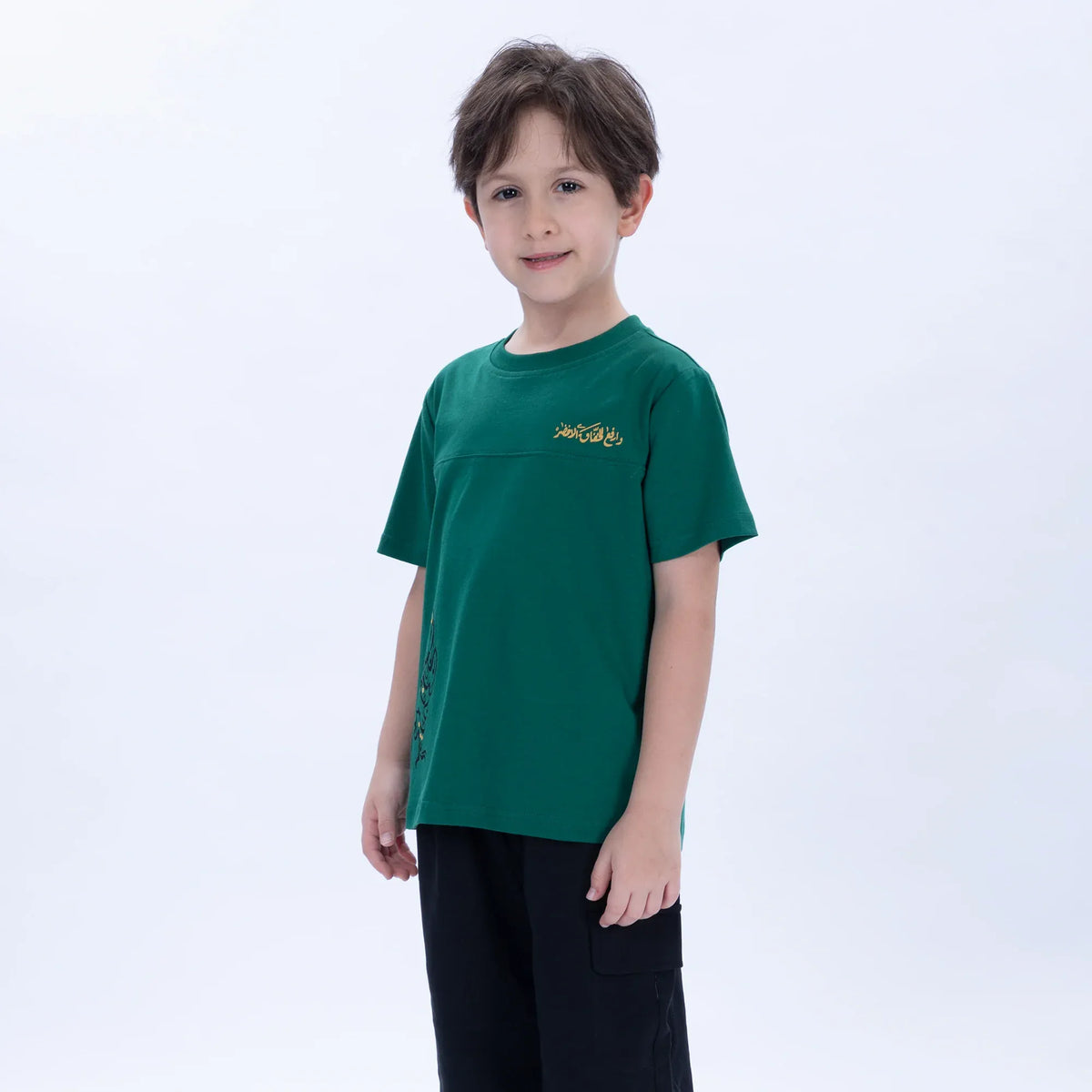 Printed Casual T.Shirt for Boys Image