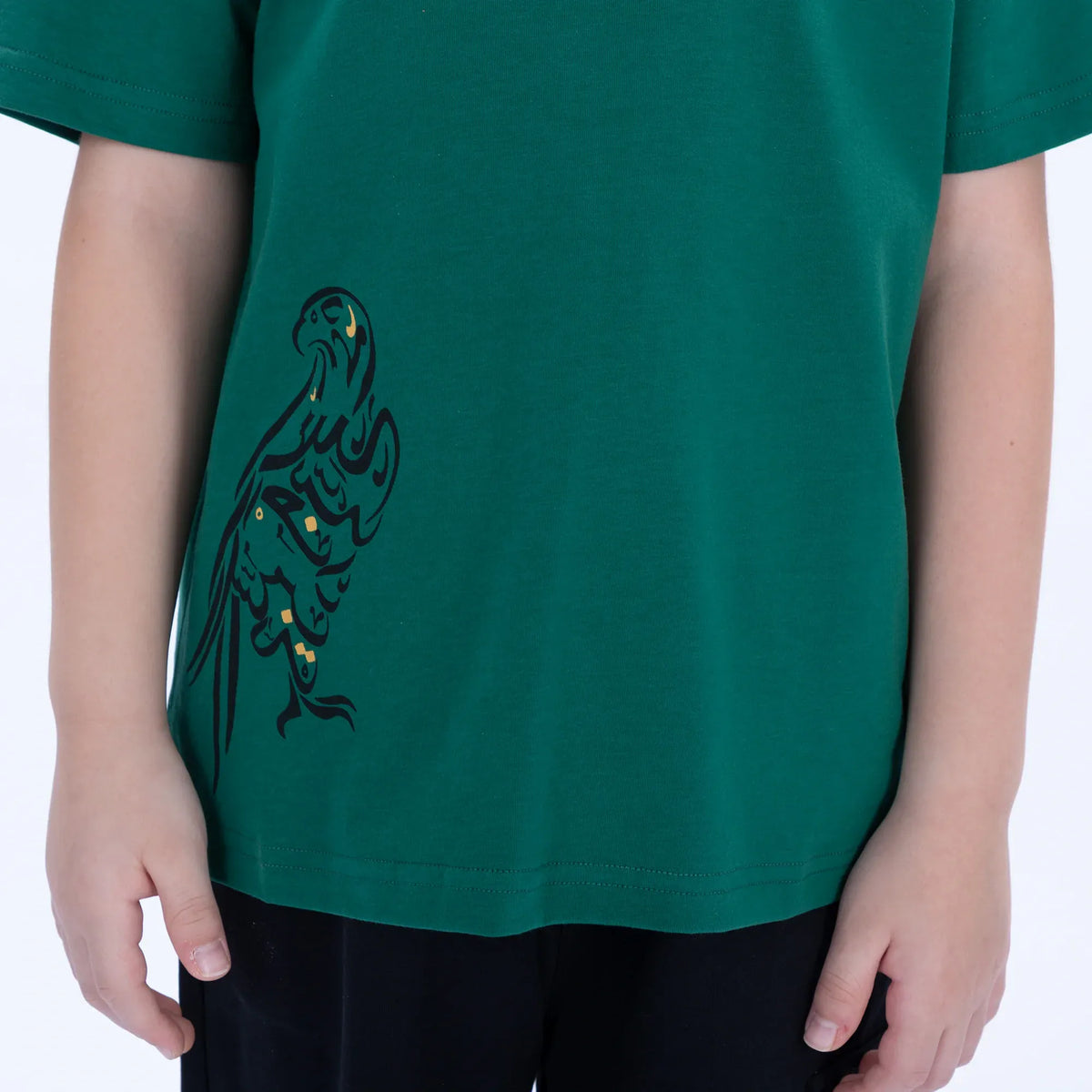 Printed Casual T.Shirt for Boys Image