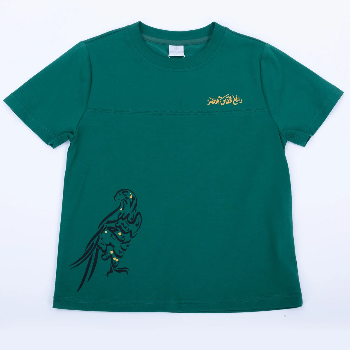 Printed Casual T.Shirt for Boys Image