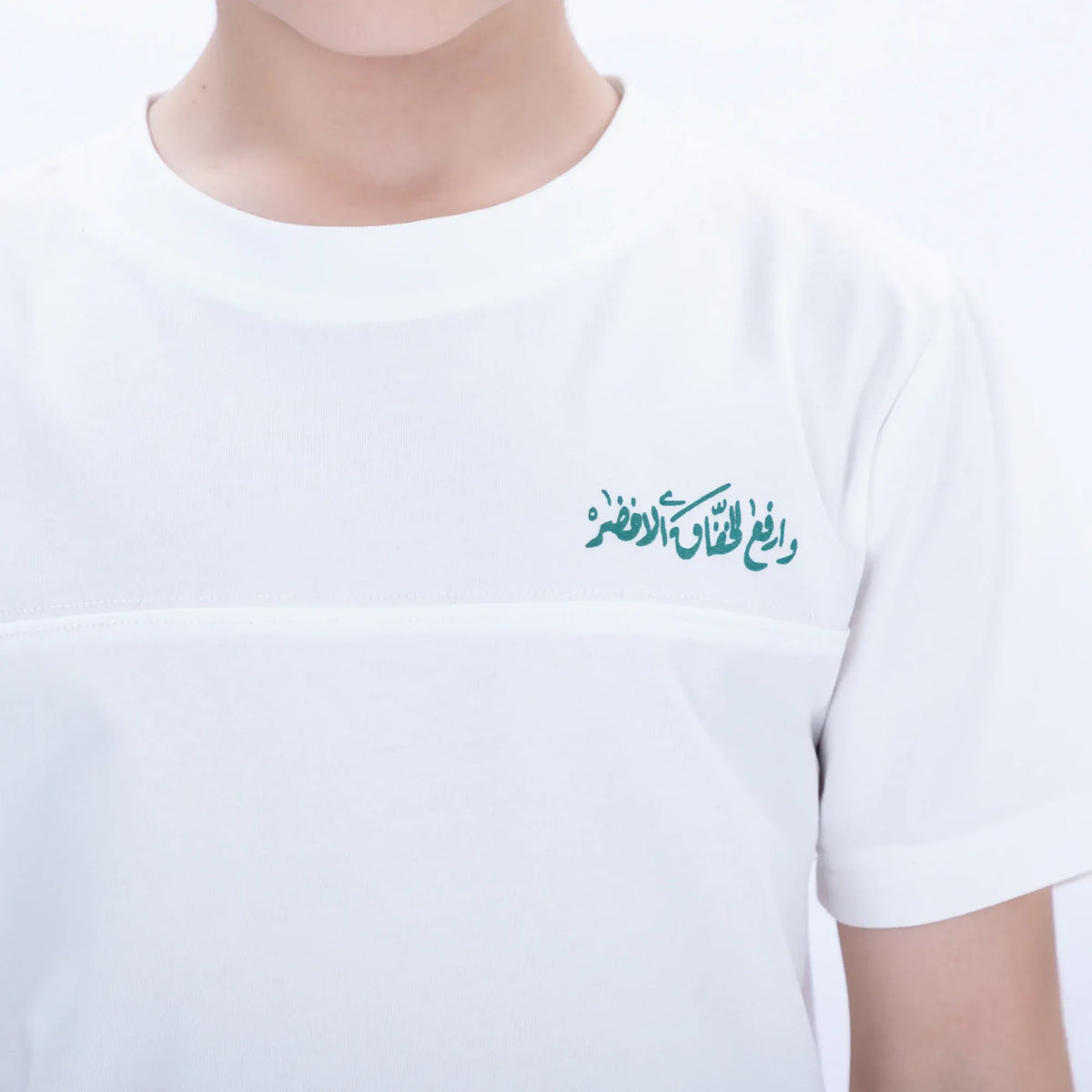 Printed Casual T.Shirt for Boys Image