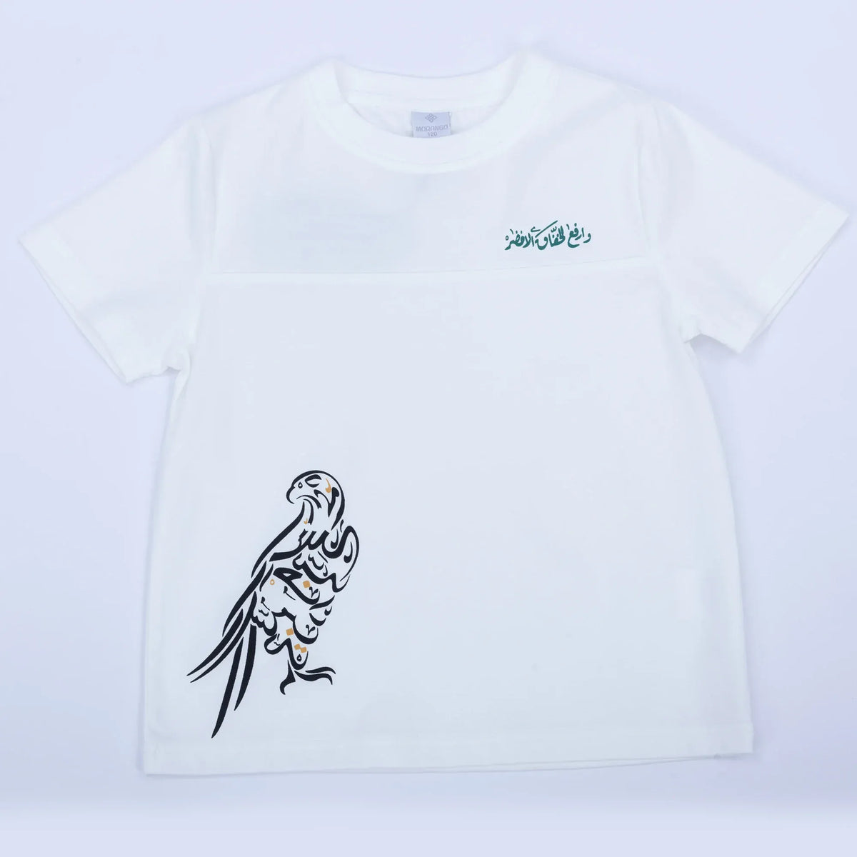 Printed Casual T.Shirt for Boys Image