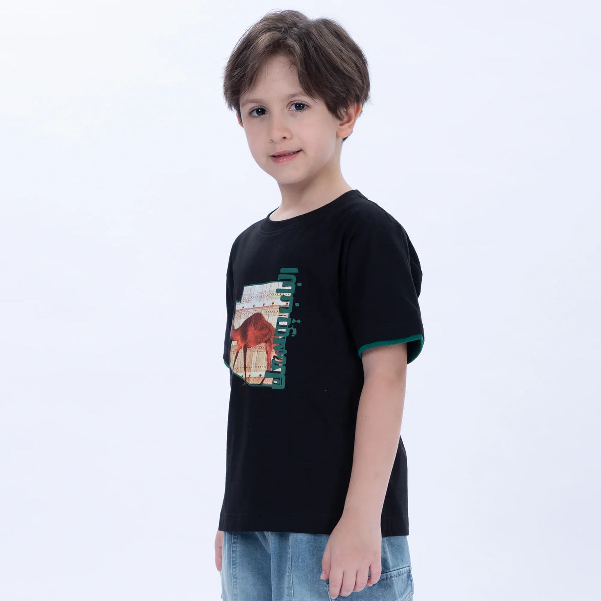 Printed Casual T.Shirt for Boys Image