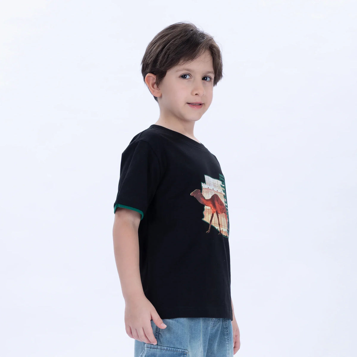 Printed Casual T.Shirt for Boys Image