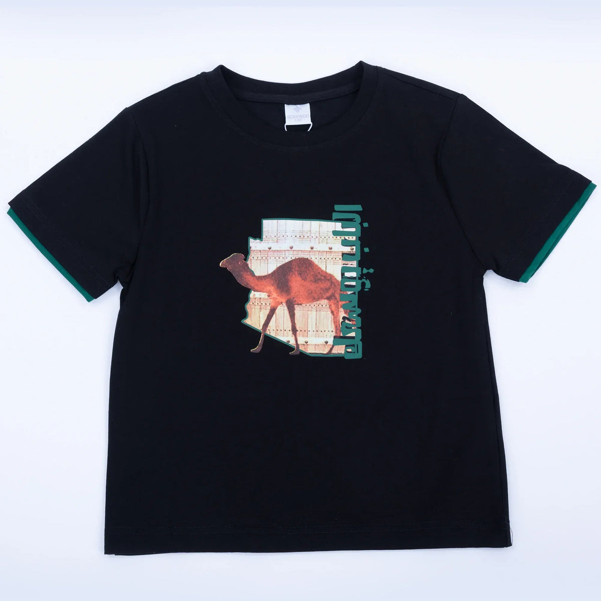 Printed Casual T.Shirt for Boys Image