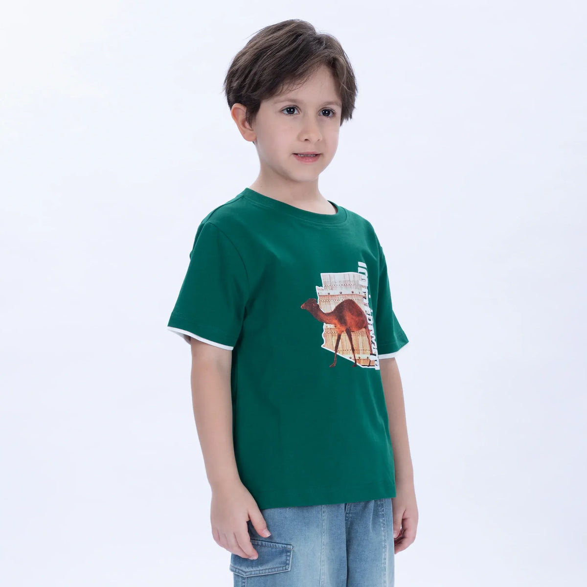 Printed Casual T.Shirt for Boys Image
