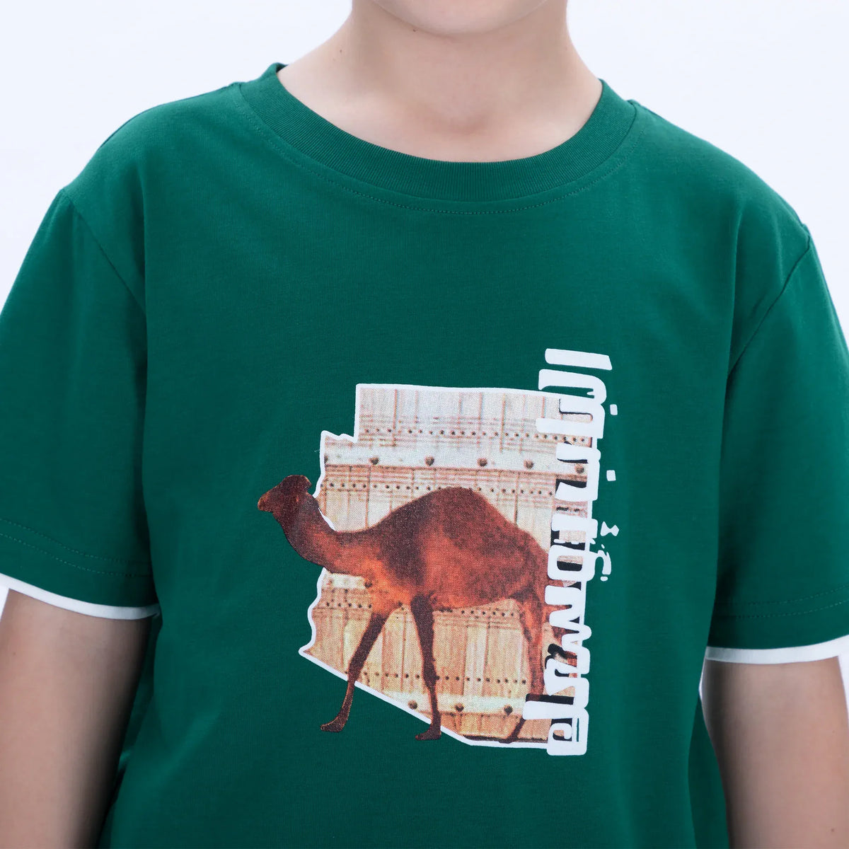 Printed Casual T.Shirt for Boys Image