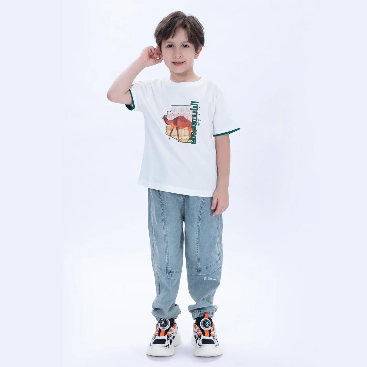 Printed Casual T.Shirt for Boys Image