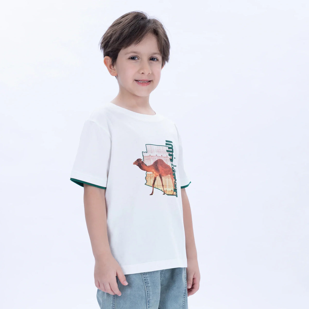 Printed Casual T.Shirt for Boys Image