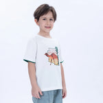 Printed Casual T.Shirt for Boys Image