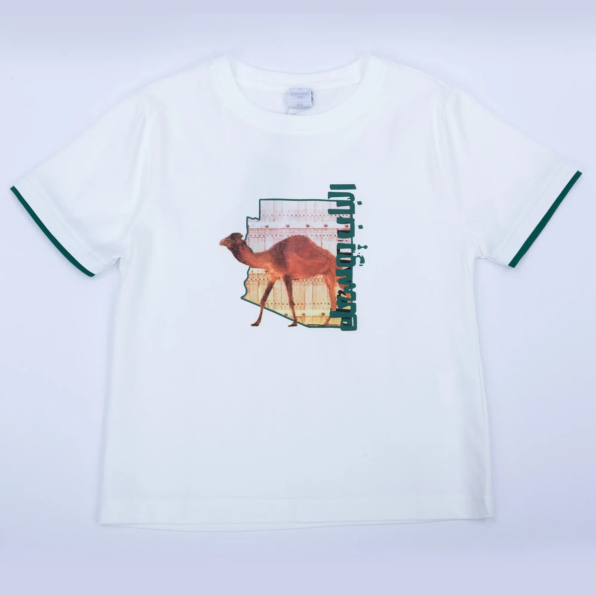 Printed Casual T.Shirt for Boys Image