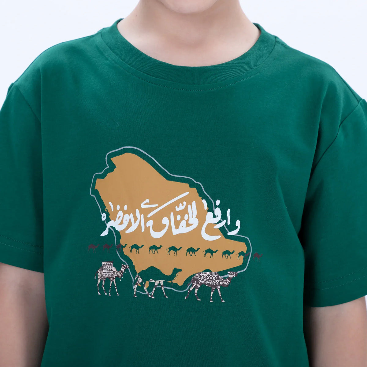 Printed Casual T.Shirt for Boys Image