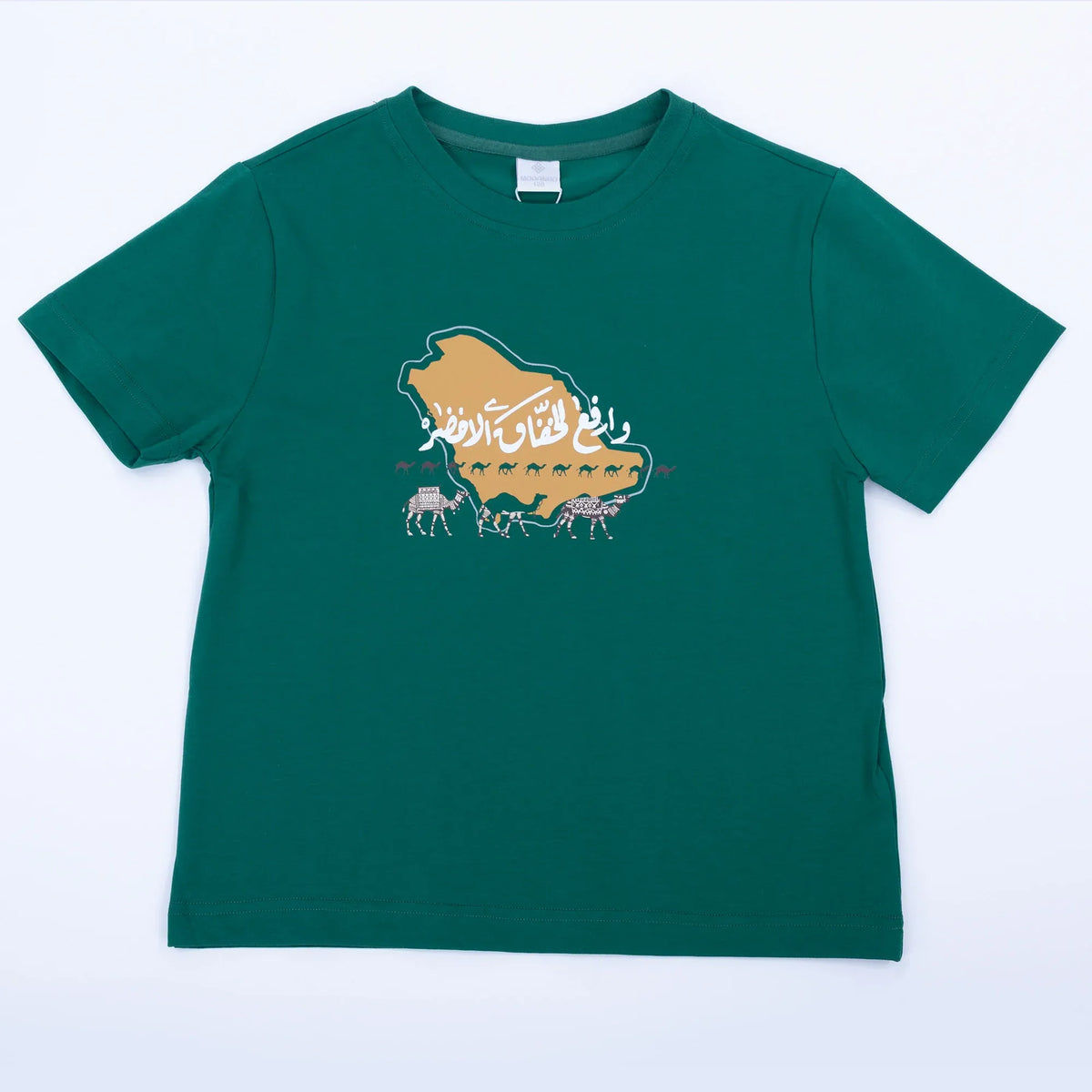 Printed Casual T.Shirt for Boys Image