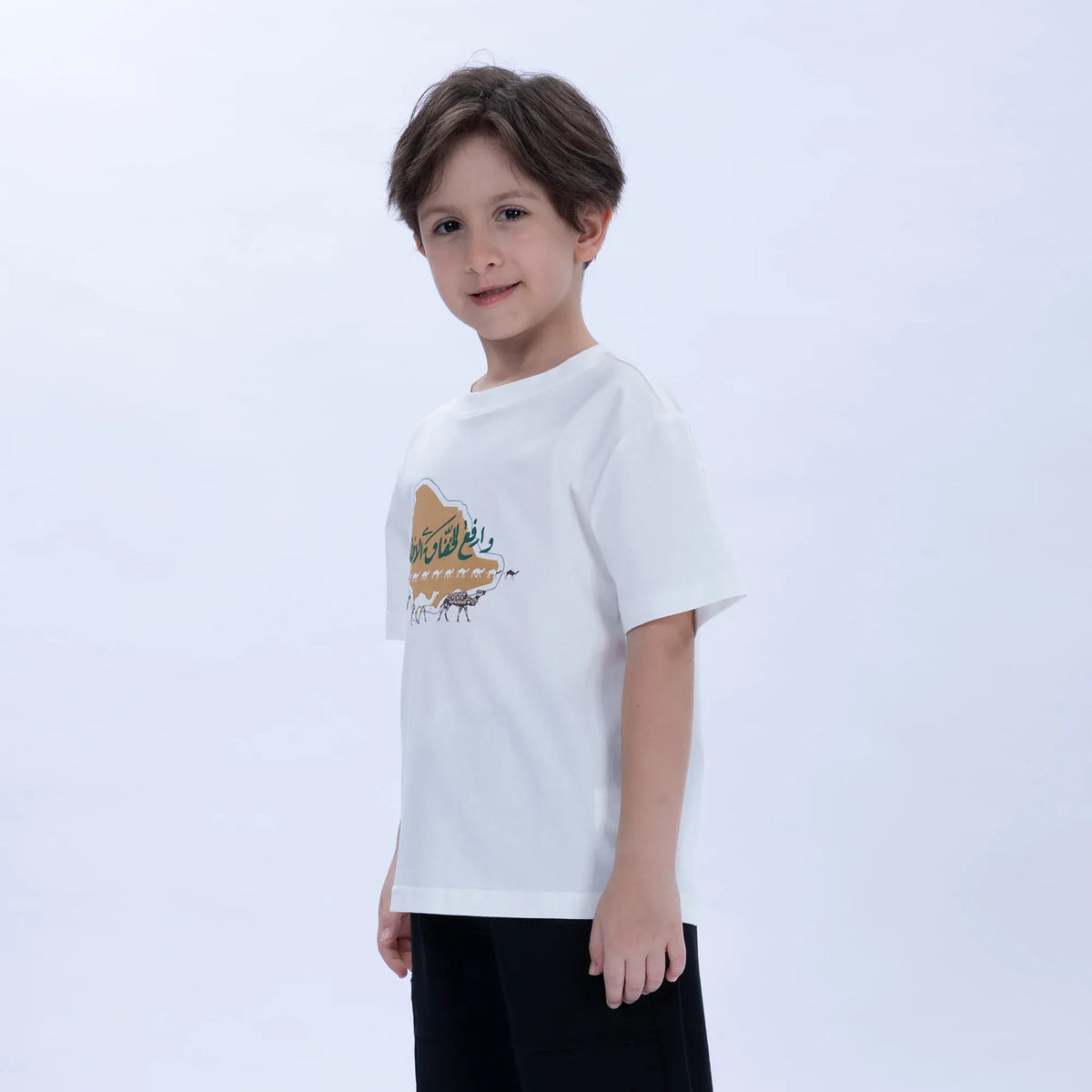 Printed Casual T.Shirt for Boys Image