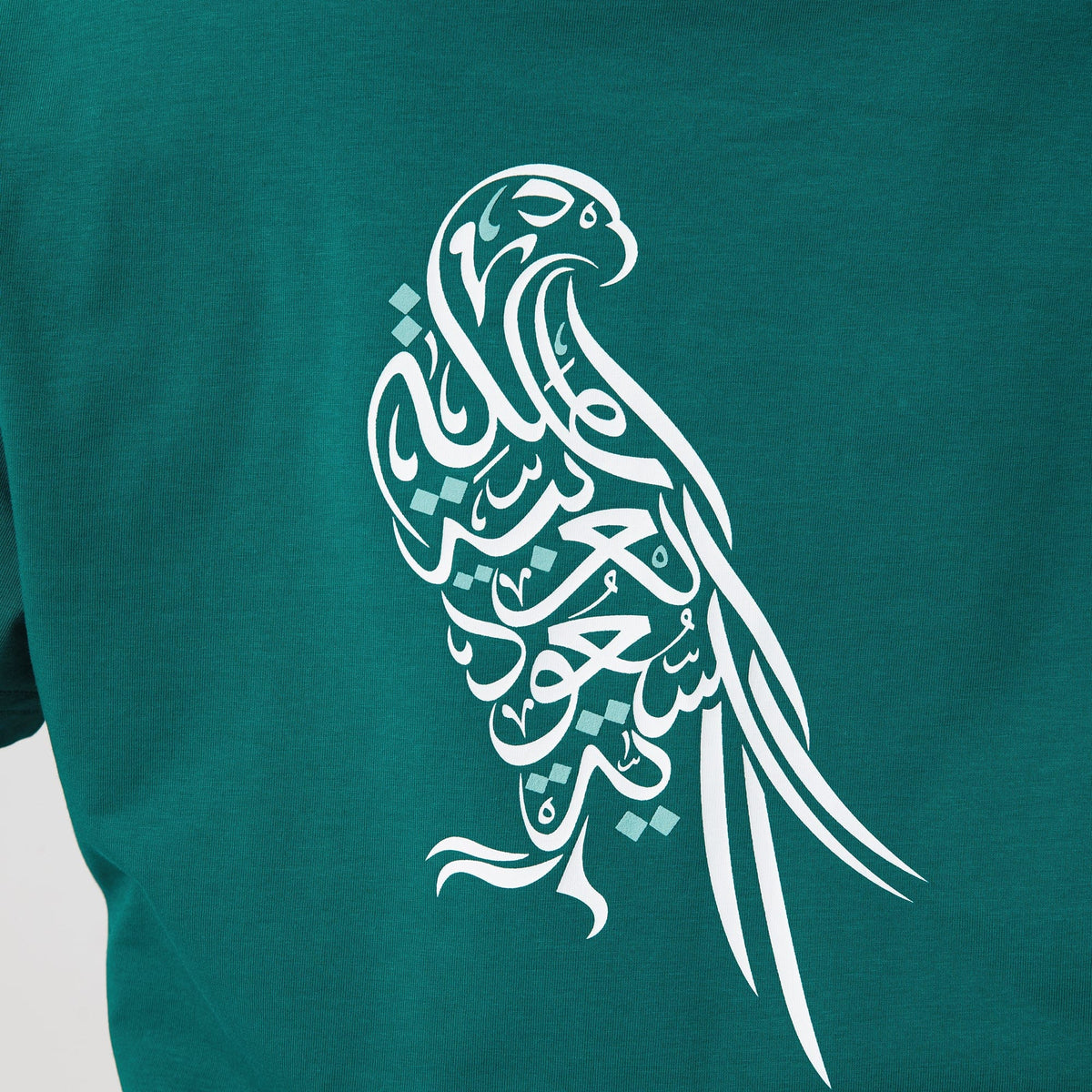 Printed Casual T.Shirt for Women Image
